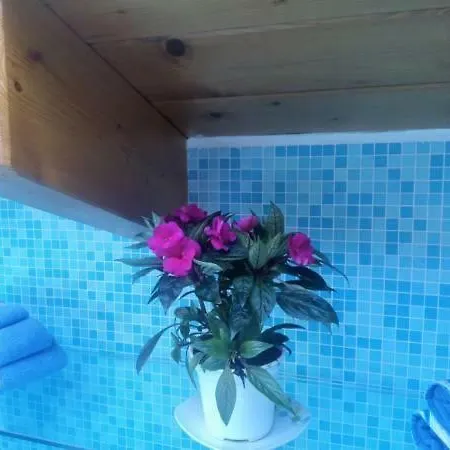 Aria Relax *